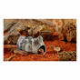 Exo Terra L Wet Rock Seramik Mağara 11x11x20 Cm | Kaplumbağa Mağarası