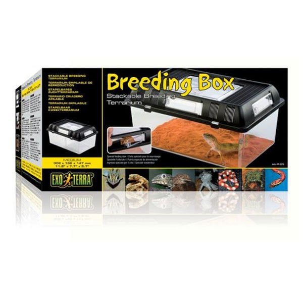 Exo Terra M Breeding Box Siyah | Cam Terraryum