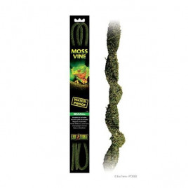 S Moss Sarmaşık | Kaplumbağa Aksesuarı