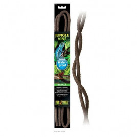 S Sarmaşık | Kaplumbağa Kaya Ve Ağaç