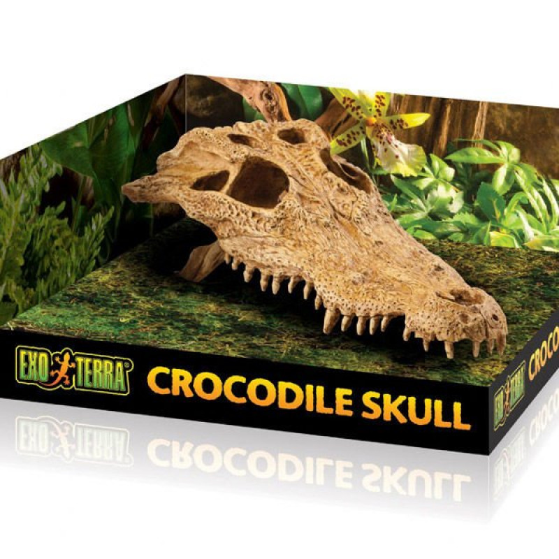 Exo Terra Timsah Kafa Tası Yuva | Cam Terraryum Exo Terra Timsah Kafa Tası Yuva | Cam Terraryum