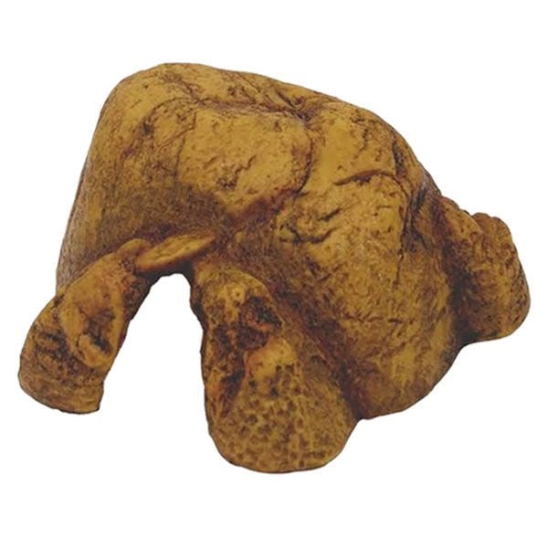 Exo Terra XL Mağara | Kaplumbağa Mağarası