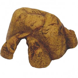 XXL Mağara | Kaplumbağa Mağarası XXL Mağara | Kaplumbağa Mağarası