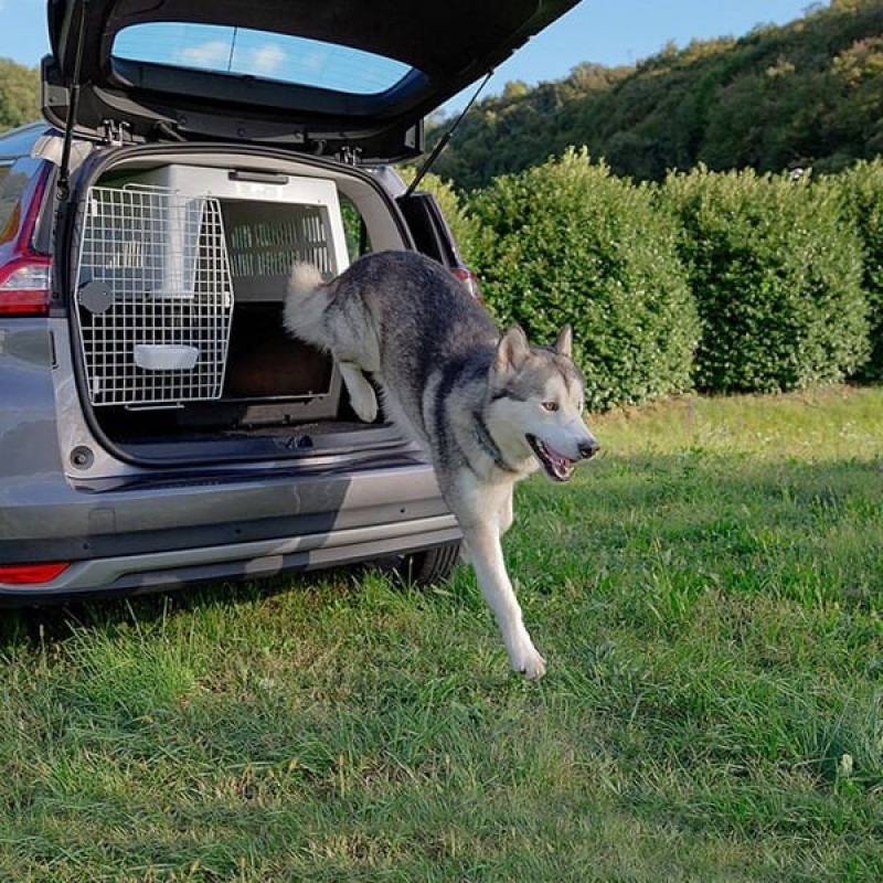 Ferplast 101x68x75 Cm Atlas 70 Professional Taşıma Kafesi | Köpek Taşıma Çantası Ve Kafes