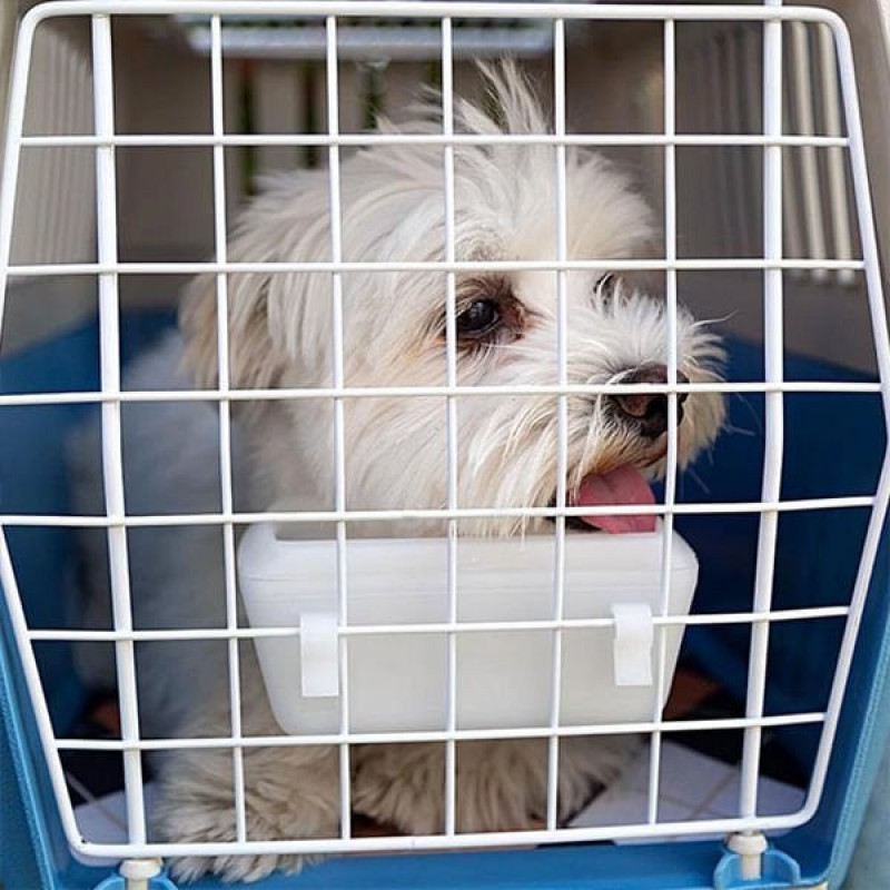 Ferplast 32x48x29 Cm Atlas 10 Open Taşıma Çantası Mavi | Köpek Taşıma Çantası Ve Kafes