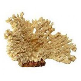 Blu 9132 Beige Coral Akvaryum Dekoru | Akvaryum Yapay Bitki