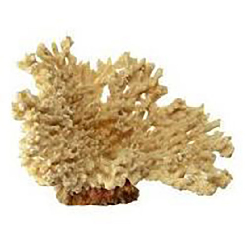 Ferplast Blu 9132 Beige Coral Akvaryum Dekoru | Akvaryum Yapay Bitki Ferplast Blu 9132 Beige Coral Akvaryum Dekoru | Akvaryum Yapay Bitki