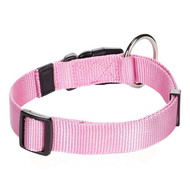 Flamingo 40-55 Cm Boyun Tasması Pembe | Köpek Boyun Tasması