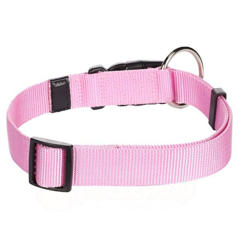 Flamingo 45-65 Cm Boyun Tasması Pembe | Köpek Boyun Tasması