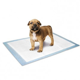 60x40 cm Yavru Çiş Eğitim Pedi Medium 10 Lu | Köpek Çiş Alıştırma Pedi