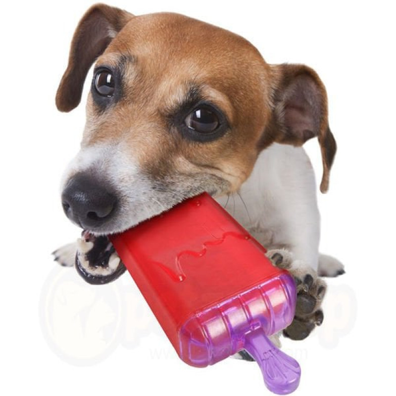 Flamingo 64 Cm Lolly Dondurma Şekilli Kauçuk Oyuncak | Kauçuk Ve Plastik Köpek Oyuncağı