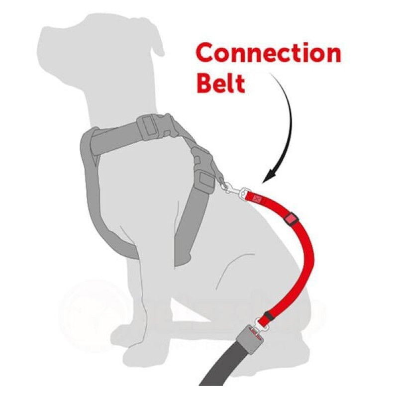 Flamingo Araba Için Deri Emniyet Kemeri | Köpek Araç Emniyet Kemeri