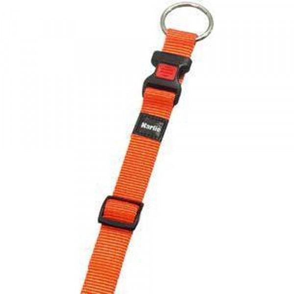 Flamingo 30-45 Cm Boyun Tasması Turuncu | Köpek Boyun Tasması