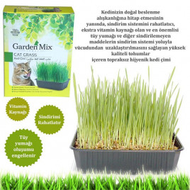 Garden Mix Kedi Çimi | Kedi Çimi