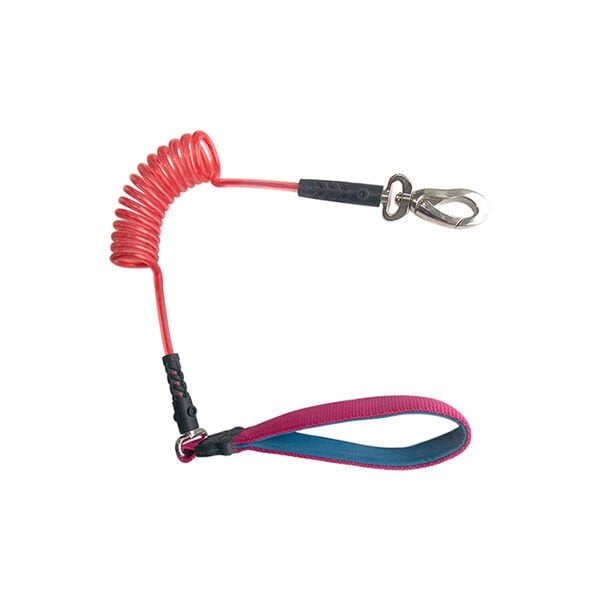 Gardenmix Amasörlü Tasma | Köpek Boyun Tasması