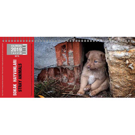 Sokak Hayvanları Masa Takvimi 2021