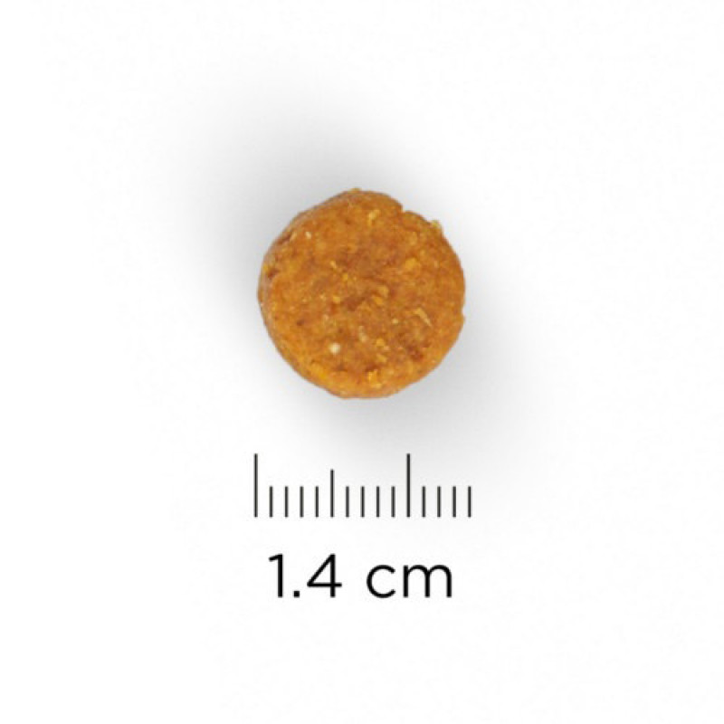 Hill's 3 Kg Science Plan Adult Advanced Fitness Medium Tuna & Rice | Yetişkin Köpek Kuru Maması