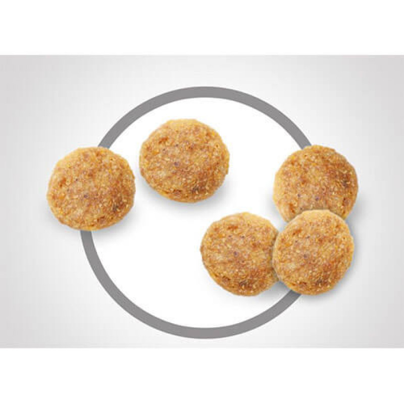 Hill's 3 Kg Science Plan Mature Adult 7+ Active Longevity Chicken | Yetişkin Kuru Kedi Maması