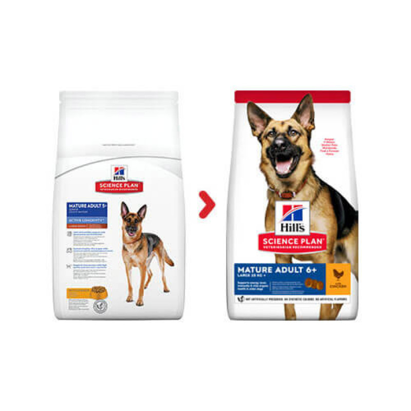 Hill's 14 Kg Science Plan Mature Adult 6+ Active Longevity Large Chicken | Yaşlı Köpek Kuru Maması Hill's 14 Kg Science Plan Mature Adult 6+ Active Longevity Large Chicken | Yaşlı Köpek Kuru Maması