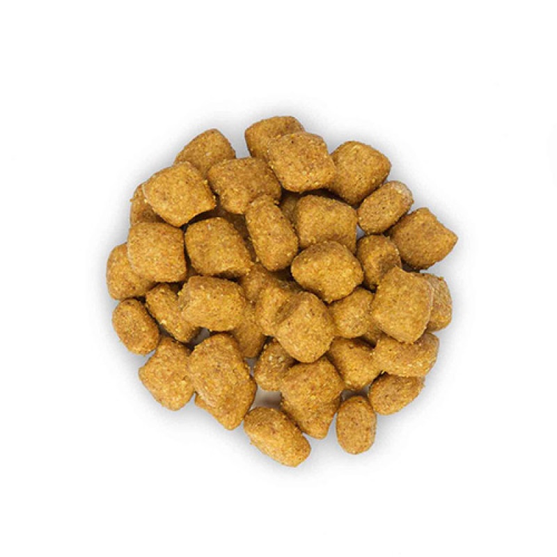 Hill's Science Plan 1,5 Kg Oral Care Adult Chicken | Yetişkin Kuru Kedi Maması