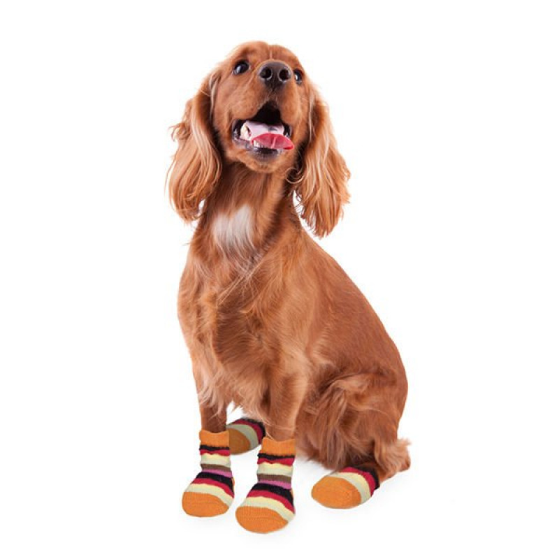 Karlie 2'li Ayakkabı Medium | Köpek Patik Ayakkabısı Karlie 2'li Ayakkabı Medium | Köpek Patik Ayakkabısı