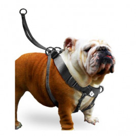 Easy Walker 58X34 Cm Göğüs Xlarge | Köpek Göğüs Tasması Easy Walker 58X34 Cm Göğüs Xlarge | Köpek Göğüs Tasması