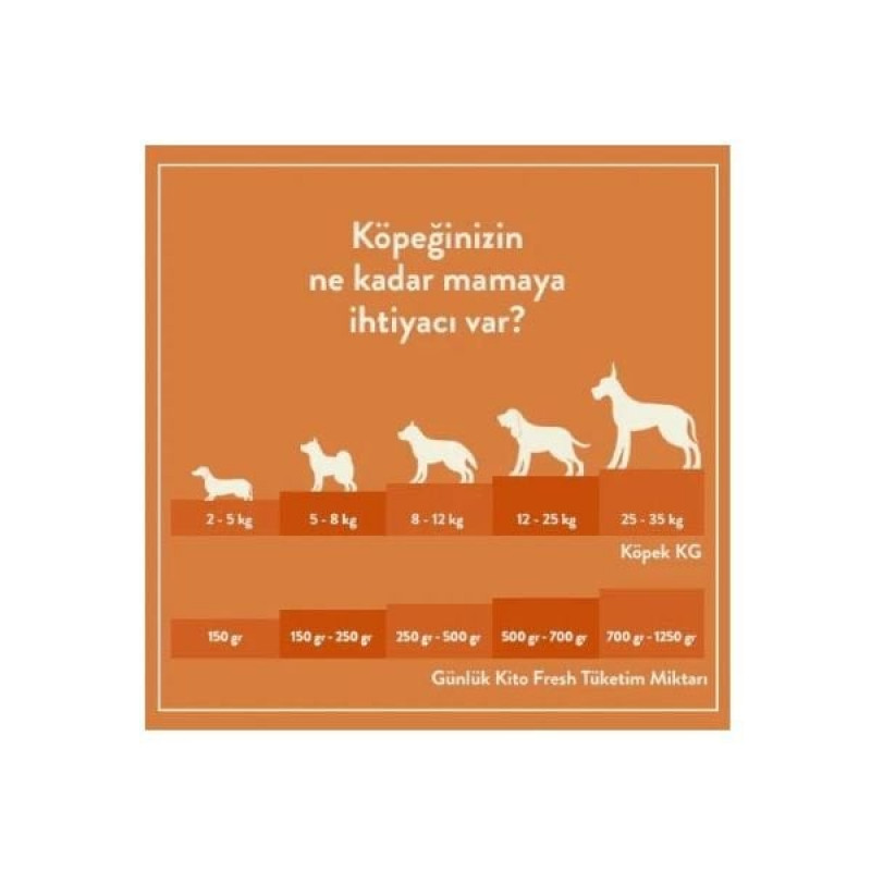 Kito 250 Gr Hipoalerjenik Taze Kuzu | Yetişkin Köpek Konserve Maması