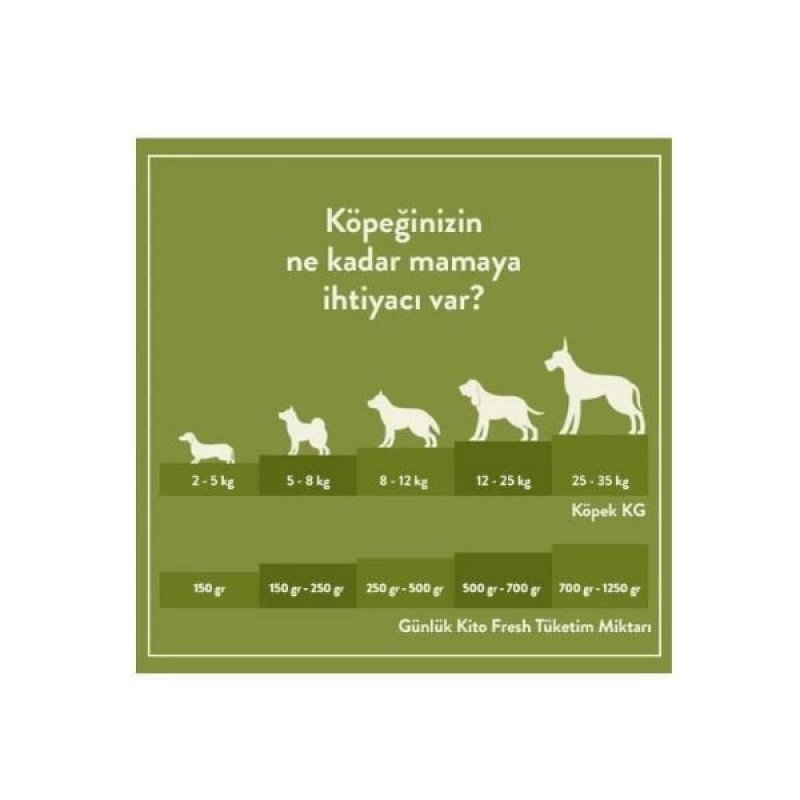 Kito 250 Gr Hipoalerjenik Taze Somon | Yetişkin Köpek Konserve Maması