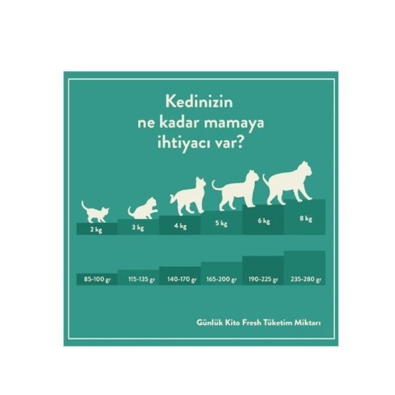 Kito 85 Gr Hipoalerjenik Taze Dana | Hipoalerjenik Kedi Yaş Maması
