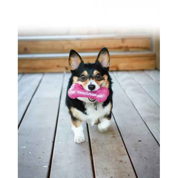 Kong L Squeezz Hışırtı Sesli Kemik 19 Cm | Sesli Köpek Oyuncağı