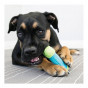 Kong Köpek Çiğneme Oyuncağı, Core Strength 17,5cm | Köpek Çiğneme