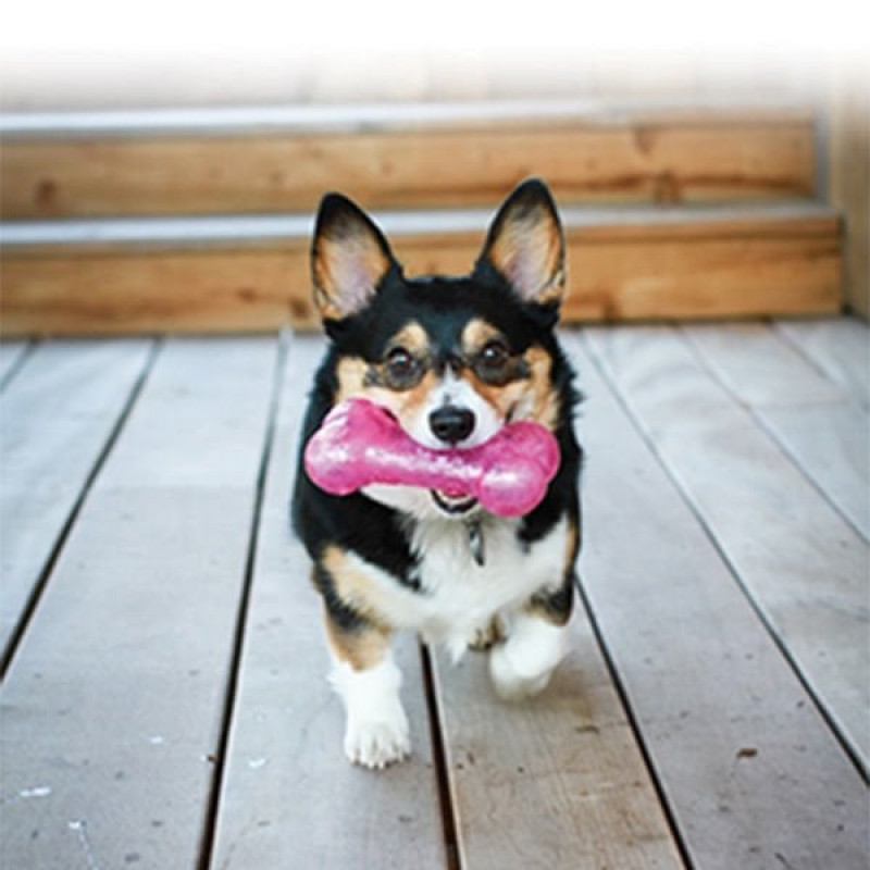 Kong L Squeezz Hışırtı Sesli Top 7 Cm | Sesli Köpek Oyuncağı