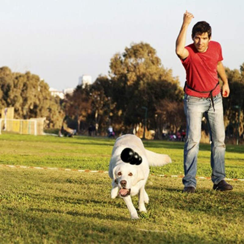 Kong Small Extreme 8 Cm | Kauçuk Ve Plastik Köpek Oyuncağı