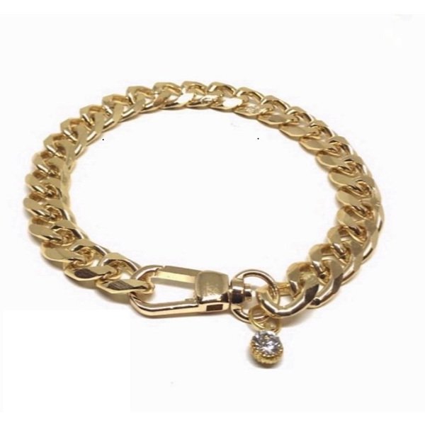 Lepus Xsmall Kalın Kolye Gold | Köpek Boyun Tasması