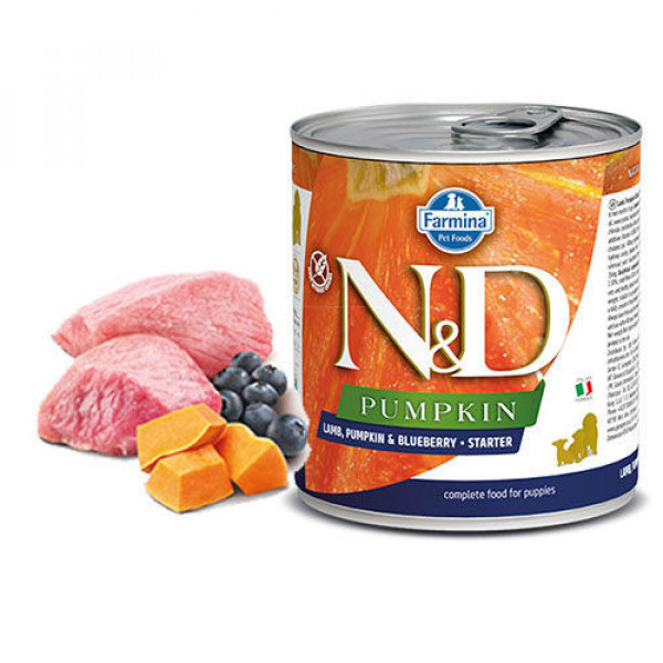 N&D Pumpkin 6 Adet Starter Kuzu Balkabağı ve Yaban Mersini 285 Gr | Tavru Köpek Konservesi