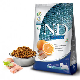 N&D Ocean Mini 2,5 Kg Ringa ve Portakal | Yetişkin Köpek Kuru Maması N&D Ocean Mini 2,5 Kg Ringa ve Portakal | Yetişkin Köpek Kuru Maması
