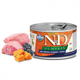 N&D Pumpkin 6 Adet Starter Mini Kuzu Balkabağı ve Yaban Mersini140 Gr | Yetişkin Köpek Konserve Maması N&D Pumpkin 6 Adet Starter Mini Kuzu Balkabağı ve Yaban Mersini140 Gr | Yetişkin Köpek Konserve Maması