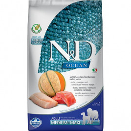 N&D Ocean 2.5 Kg Medium Maxi Somon Morina ve Kavun | Yetişkin Köpek Kuru Maması N&D Ocean 2.5 Kg Medium Maxi Somon Morina ve Kavun | Yetişkin Köpek Kuru Maması
