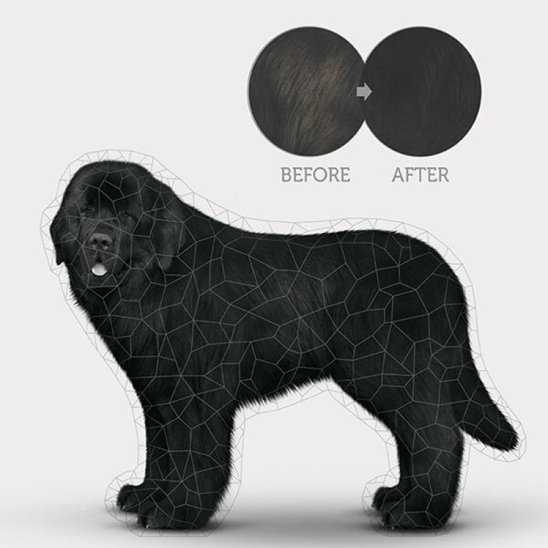 Nature's Protection 17 Kg Superior Care Black Coat Adult Kümes Hayvanlı | Tahılsız Köpek Kuru Maması