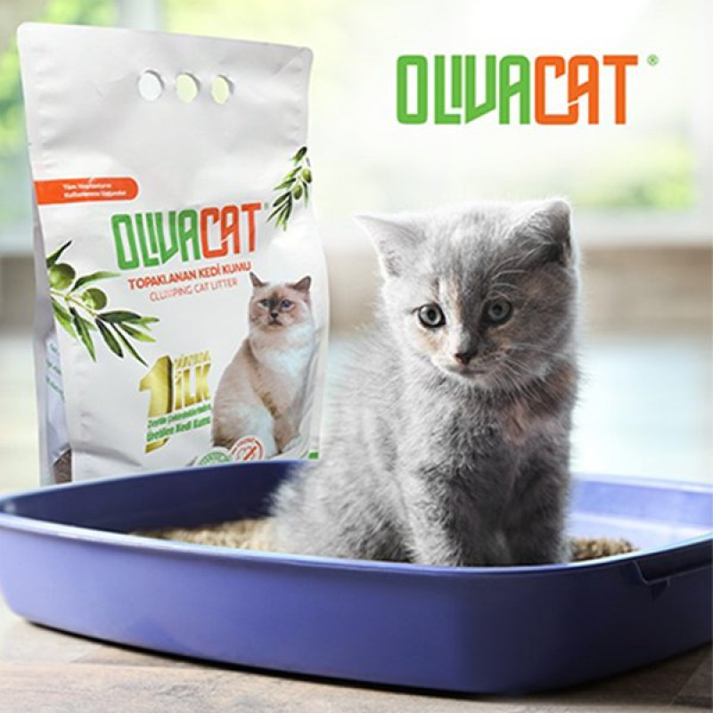 Olivacat 7 Lt Zeytin Çekirdeğinden Üretilen Kokusuz Toz Bırakmayan Topaklanan | Doğal Kedi Kumu