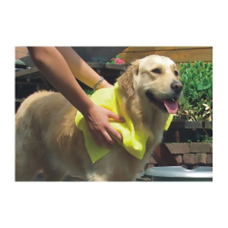 Pawise 40x50 Cm Havlu | Köpek Şampuanı Pawise 40x50 Cm Havlu | Köpek Şampuanı