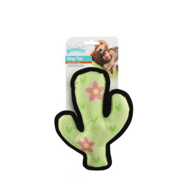 Pawise Tropic Toy Cactus Yeşil | Kumaş Ve Peluş Köpek Oyuncağı Pawise Tropic Toy Cactus Yeşil | Kumaş Ve Peluş Köpek Oyuncağı