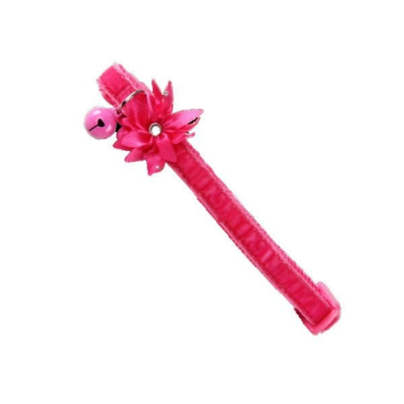 Pawise Çiçekli Boyun Tasması Pembe | Kedi Boyun Tasması Pawise Çiçekli Boyun Tasması Pembe | Kedi Boyun Tasması