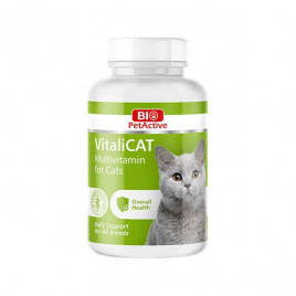 Bio 60 Tablet Vitalicat Multivitamin 30 Gr | Kedi Vitamini