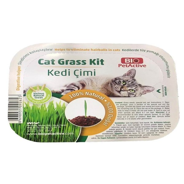 Pet Active Kedi Çimi | Kedi Çimi