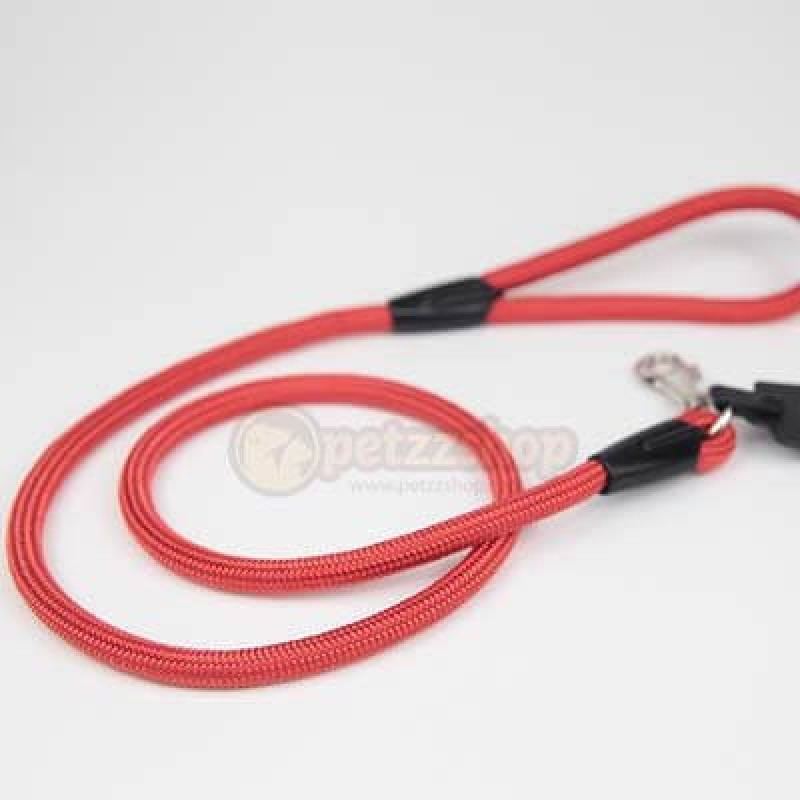 Pet Style 13mmx60 Cm Fitil Uzatma Kırmızı | Köpek Gezdirme Tasması