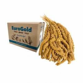 15 Kg İthal Jumbo Sarı Dal Darı | Kuş Yemi