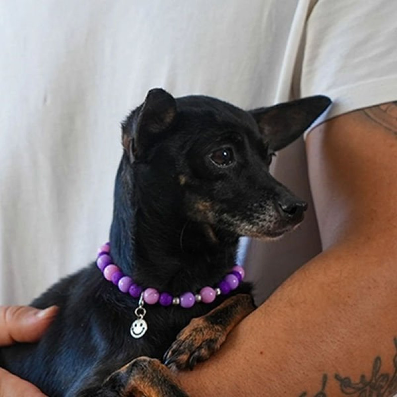 Pnx Pet Lav Doğaltaş Künye Mor | Köpek Kimlik Tipi Ve Künye