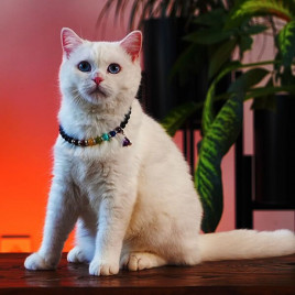 Çakra Doğaltaş Künye | Köpek Kimlik Tipi Ve Künye Çakra Doğaltaş Künye | Köpek Kimlik Tipi Ve Künye