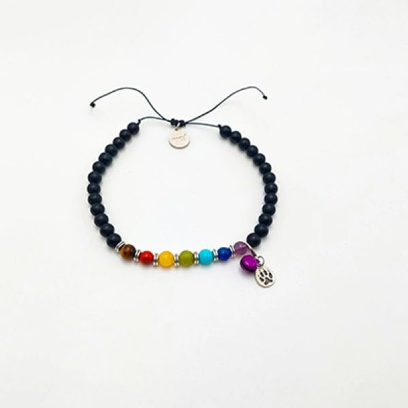 Pnx Pet Çakra Doğaltaş Künye | Köpek Kimlik Tipi Ve Künye